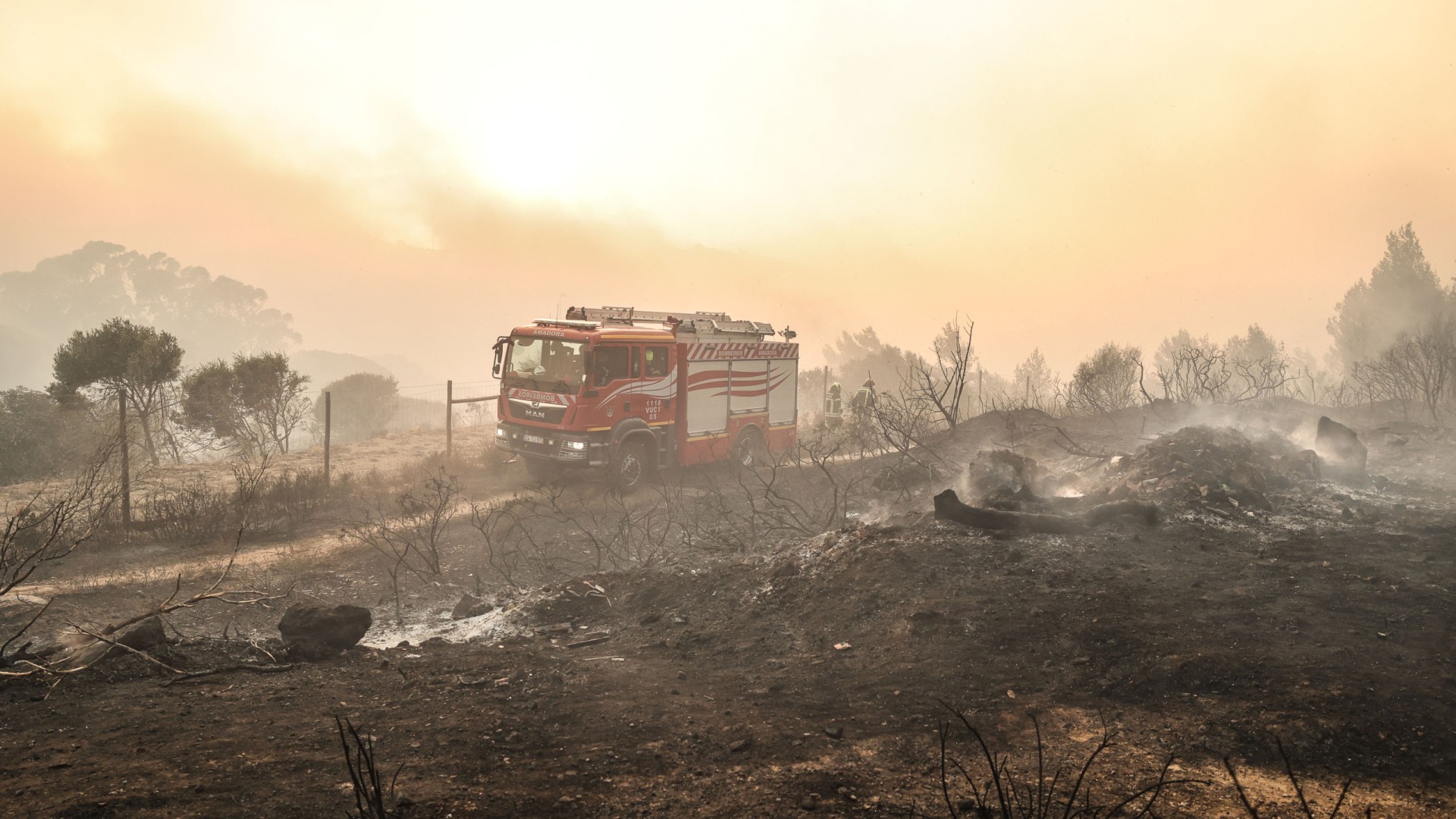 Croatia is Burning. Hundreads of Firefighters Are Battling the 12 km Disaster. image 32